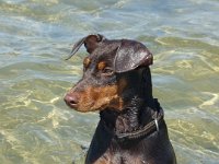 Foto 4 1  .. klasse...Nana im Wasser!...TOP!